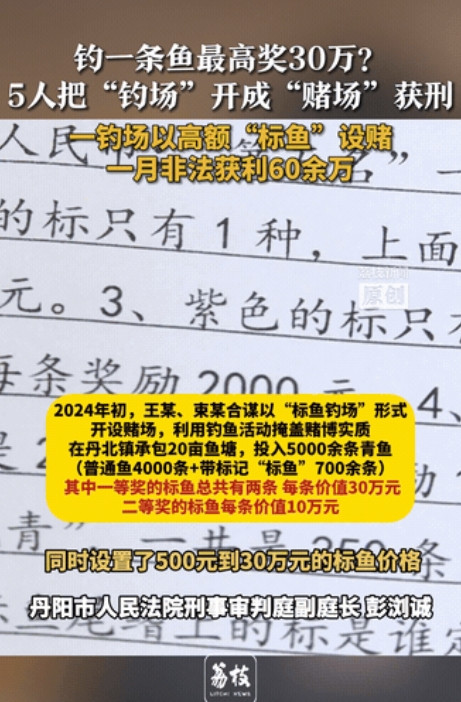 “胆子也太大了！”江苏镇江，男子和好友承包下一块20亩的鱼塘，往里面投放了500