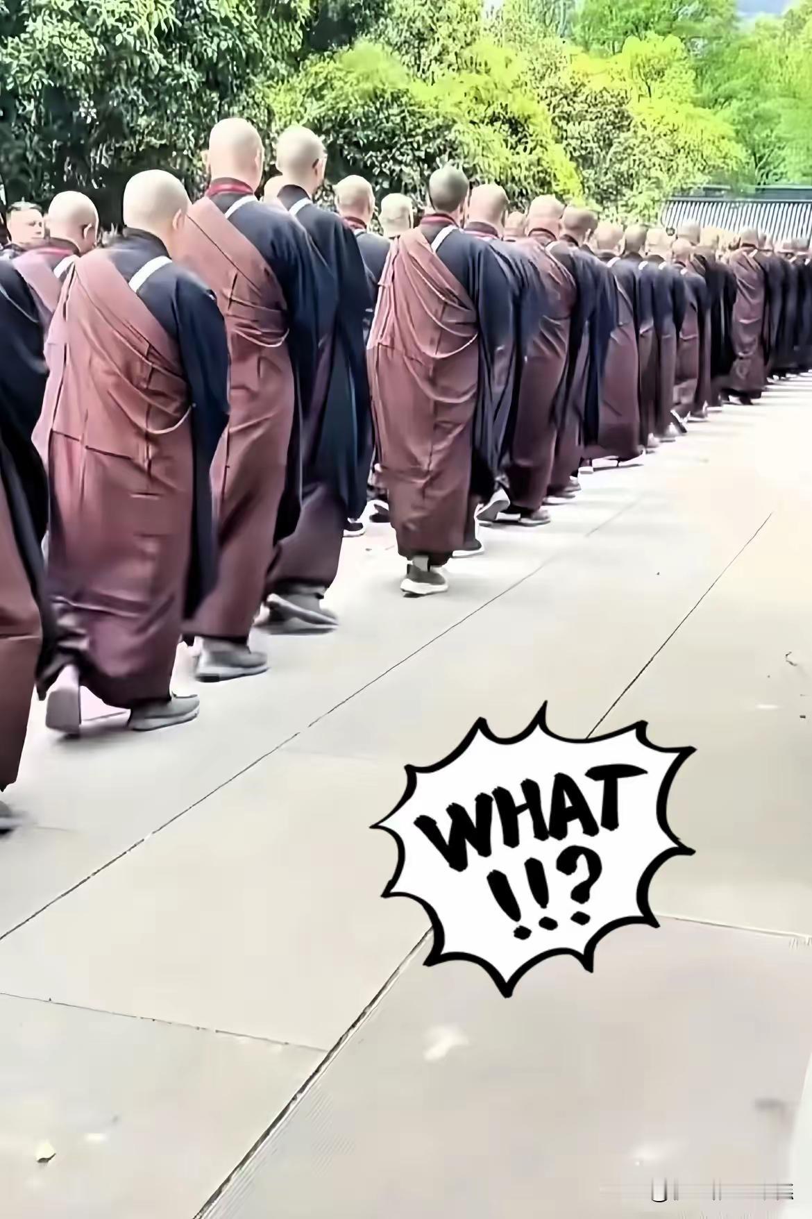 去了趟灵隐寺，真的越逛越觉得魔幻。本以为千年古刹里都是须发皆白的老僧，放眼望去