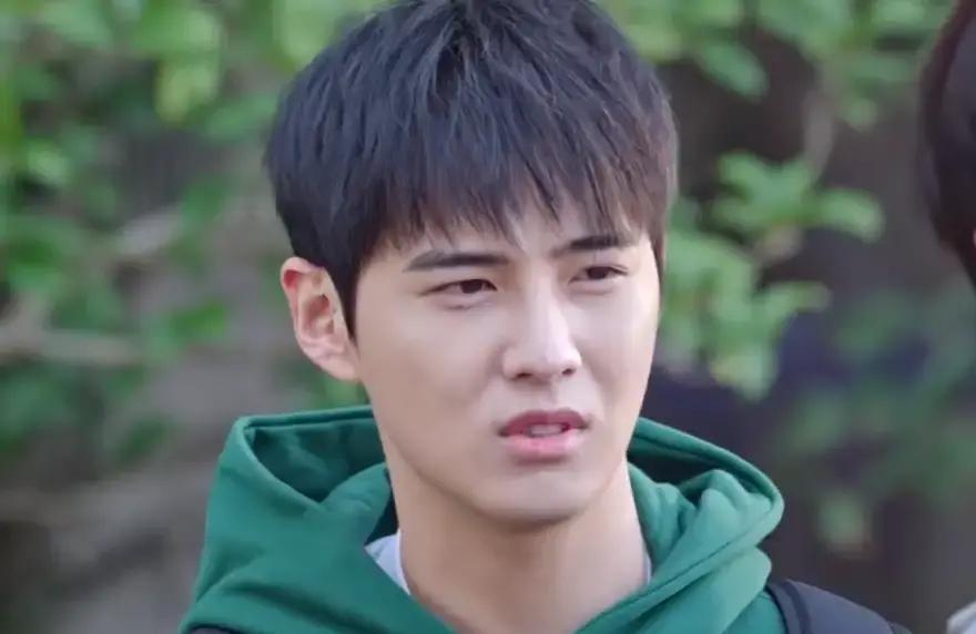 《骄阳似我》快播完，俩“弟弟”先出圈。古子成，一张娃娃脸，从《白色橄榄树》