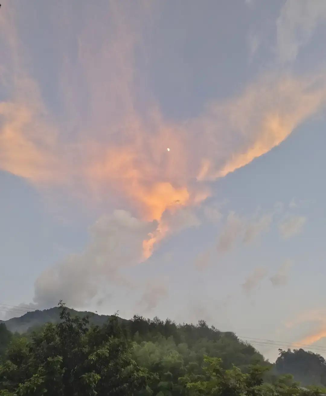 有人说，要抓电动车，不是因为它违法，而是因为它“太好用了”。想想看，它快、便宜