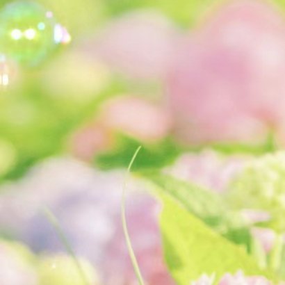 2100种植绣球花的种植方法一、腐殖土壤绣球花在腐殖土壤上生长最佳，需要选取3