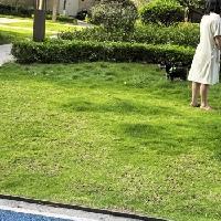 今天早上在小区里看见了几个小狗狗。狗主人都很有自觉，会在人少的时候牵狗出来溜。
