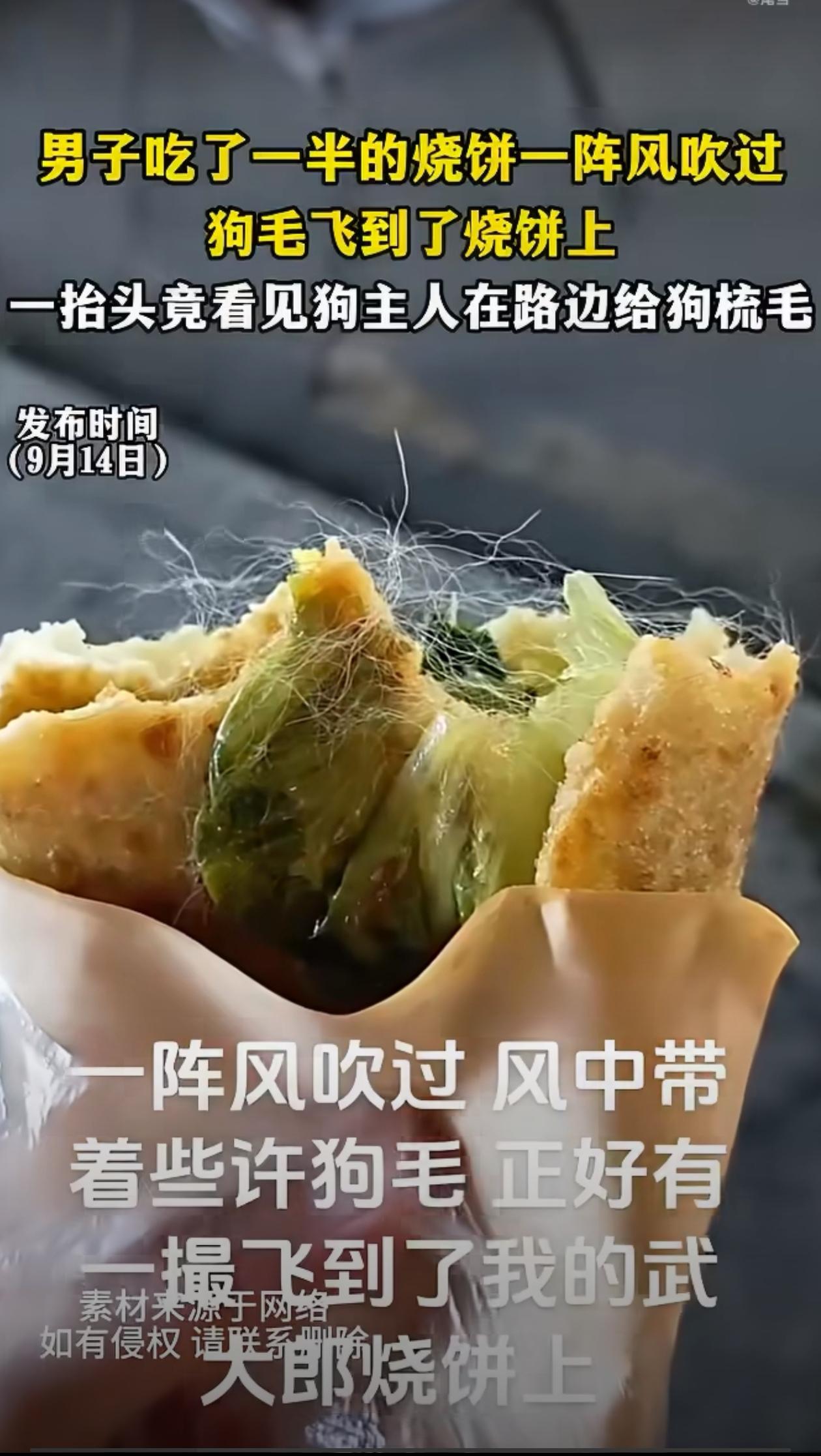 男子吃了一半的烧饼一阵风吹过,狗毛飞到了烧饼上,一抬头竟看见狗主人在路边给狗