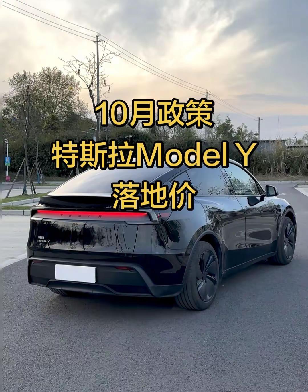 特斯拉modely10月落地费用明细。选对城市能省很多说你的城市，发你当地补贴详