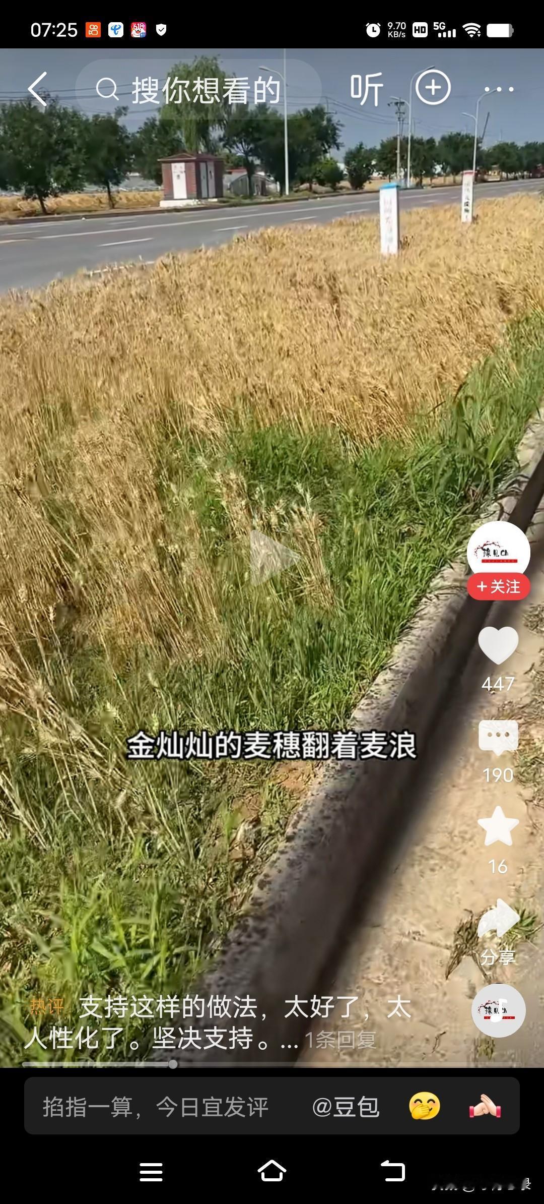 绿化带里种植小麦和蔬菜！在网上看到一则报道，河南某地，绿化带里种植了金灿灿的小