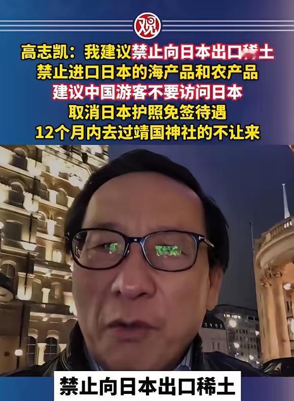 高志凯提出的一系列对日建议，字字铿锵、直击要害：全面叫停对日本的稀土出口，彻底禁