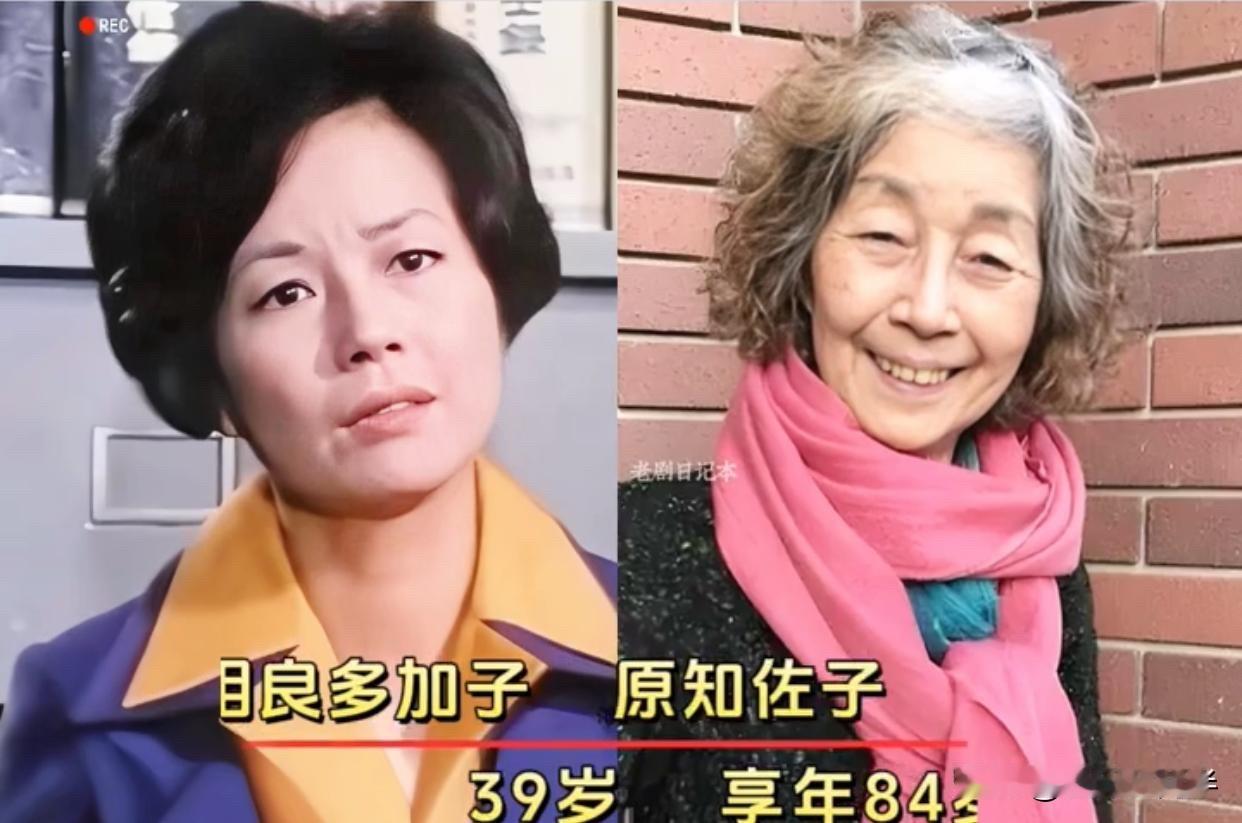 听到《血疑》这两个字，很多人的心都会猛地揪一下。1984年，这部剧在中国播出，万