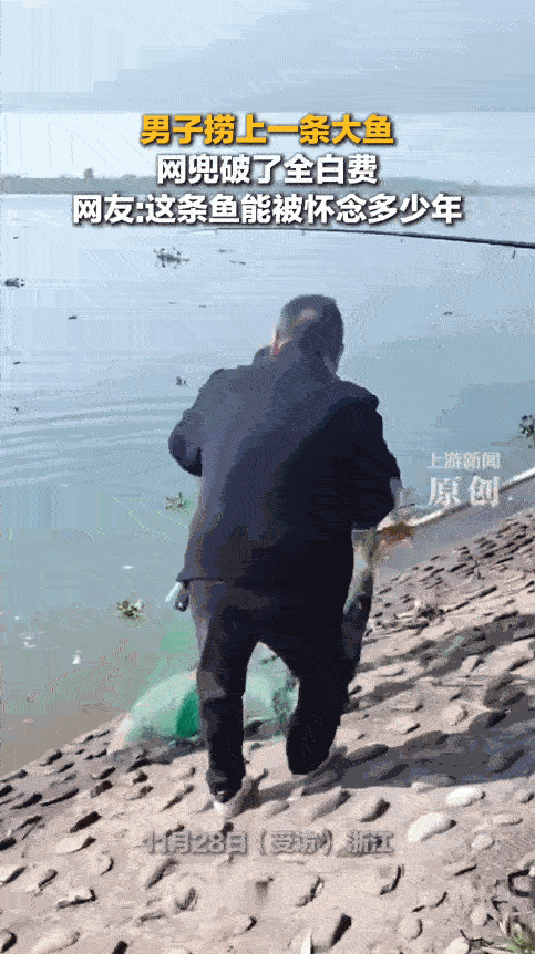 “笑不活了！”11月28日，浙江温州，一男子在河边钓鱼时，费了九牛二虎之力，终于