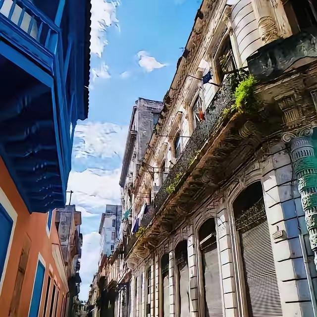 古巴人饿了，就有人给粮食，我不理解，没有战争，没有内乱，也不是鸟不拉屎的地方，土