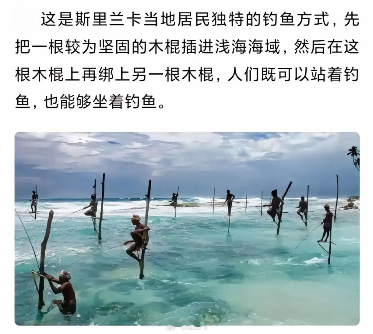 绝了！斯里兰卡独特高跷钓鱼，浅海之上的别样渔趣​​​