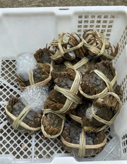 我发现，中秋节过后降价最厉害的这几种。 中秋落幕，逛超市、海鲜市场的人都会撞