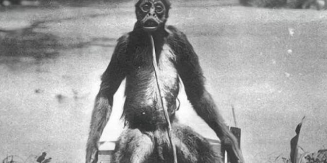 1920年，一位科学家来到委内瑞拉的原始森林勘探资源，结果中途被两只直立行走的大