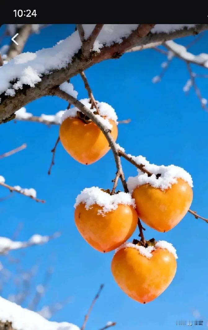 雪雪雪，雪覆千山。描绘雪覆盖群山的壮美景象。图片由ai生成