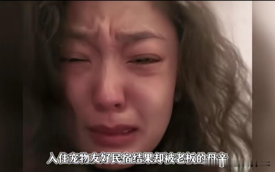 带养了8年的猫住宠物民宿，转头被店家的妈妈将直接扔大马路上放生。事情发生在