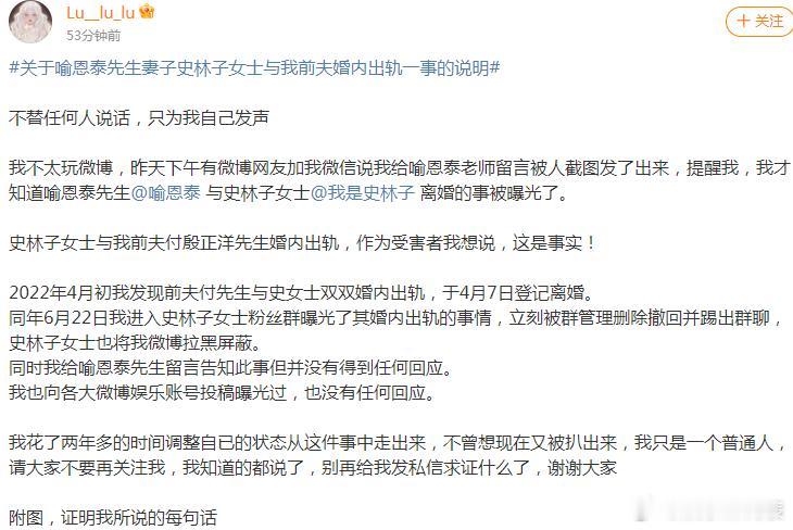 网友发文：“史林子女士与我前夫付殷正洋先生婚内出轨，作为受害者我想说，这是事实