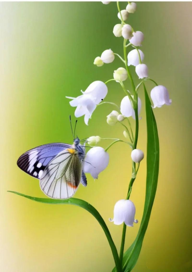 父母一定要把这十句话告诉孩子，终生受益1.孩子，记住了，天大的事儿也别一个