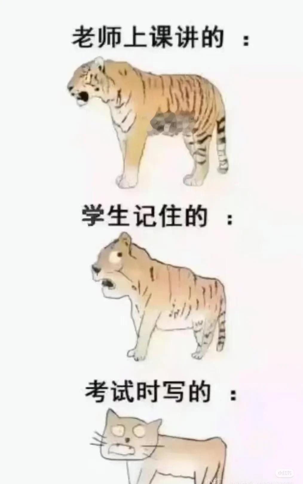 梗图爆料当种田文照进现实阿凡达3讨论团负鼠表情包种田文里过春天此图有梗