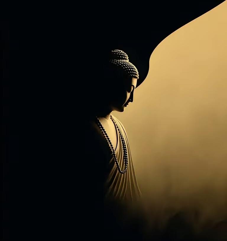 我觉得宇宙中大概率存在造物主。好多顶尖物理学家，像爱因斯坦、牛顿，还有杨振宁教授