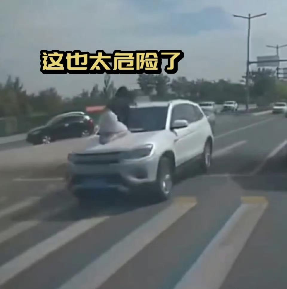 甘肃酒泉的街头，一辆白色长安SUV在复兴大道上缓缓行驶，引擎盖上跪坐着一位情绪激