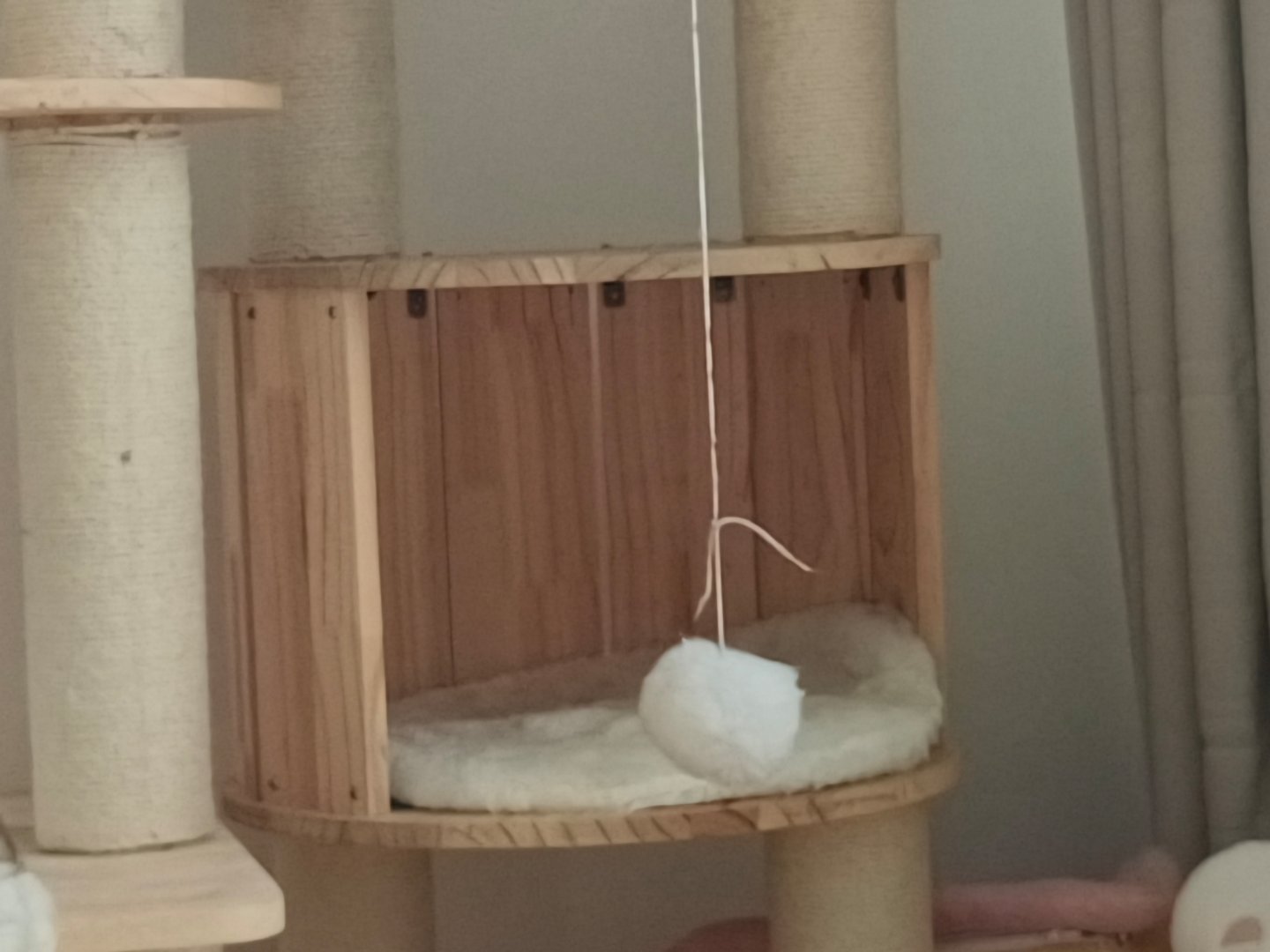 只有拼过的人才知道这个窝有多难，因为我家猫窝刚好也有这个