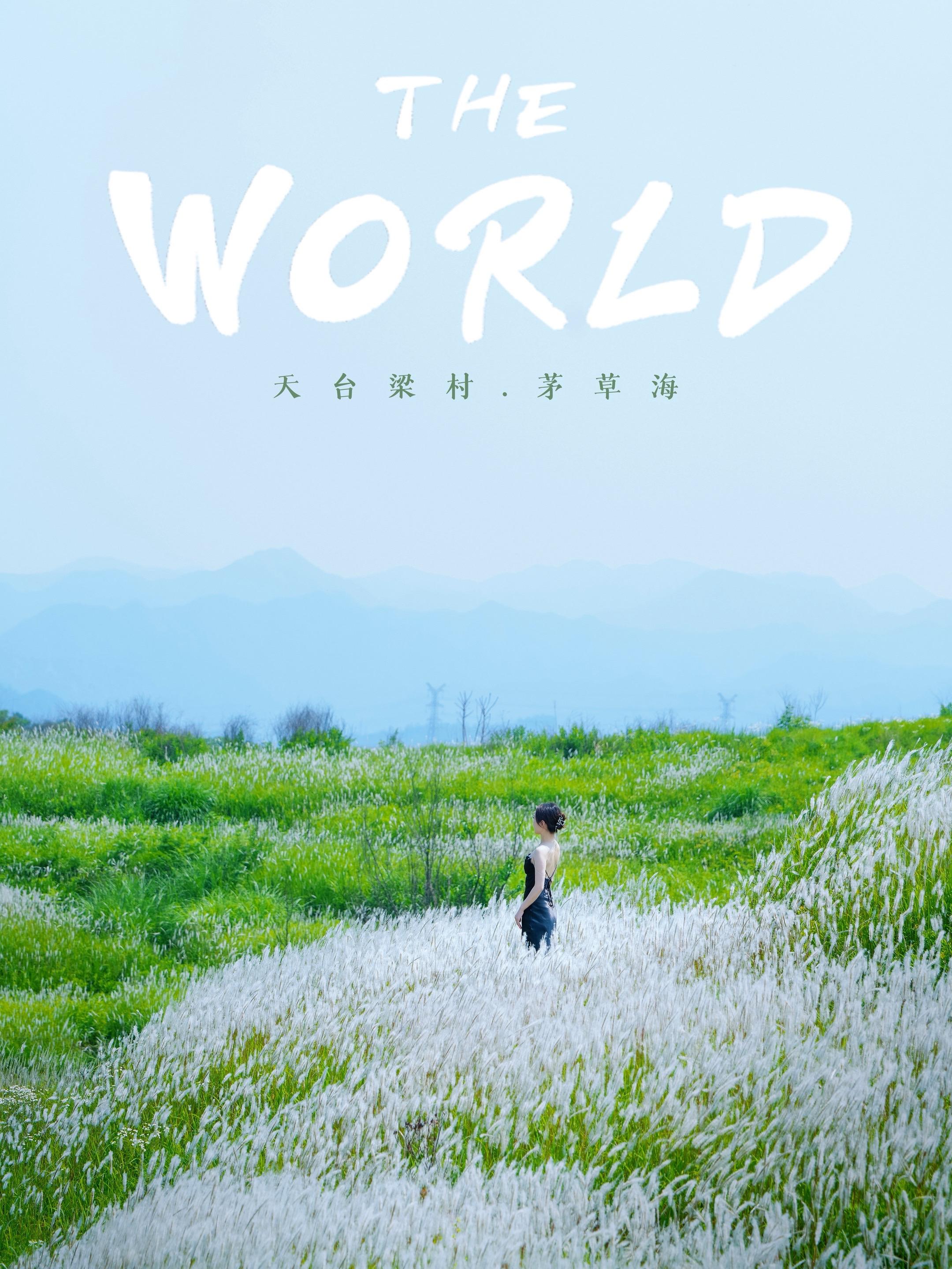 🌾【逃离城市·天台梁村茅草海治愈之旅】这里是被时光遗忘的秘境，千亩茅...