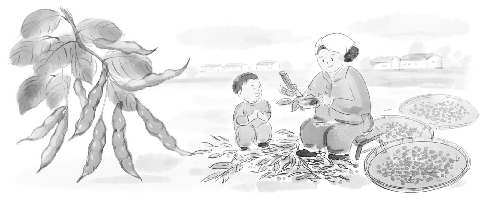 待毛豆满仓