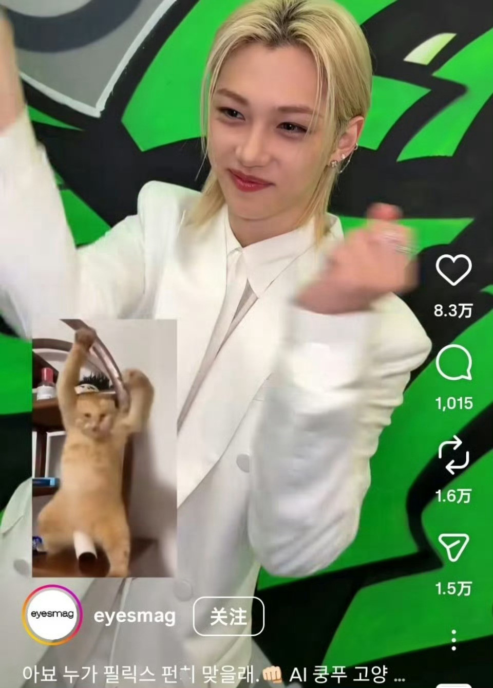 喜欢猫塑自己却要玩虐猫梗的李龙馥居然没人审判吗