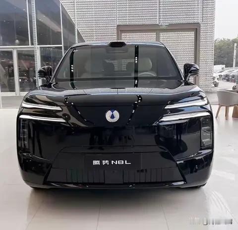 腾势N8L太懂家庭！六座+专属座椅+冰箱，出行痛点全拿捏选家庭大六座SUV