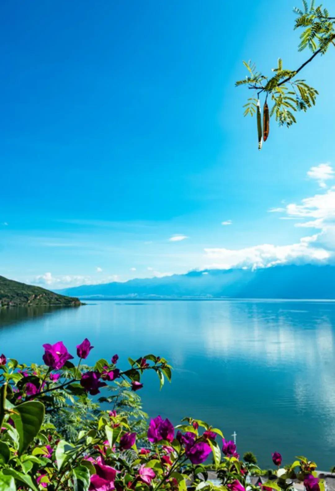 申公豹有一句台词:“这个世界最浅薄的关系，就是你没有随他的意，听他的话，他就忘记