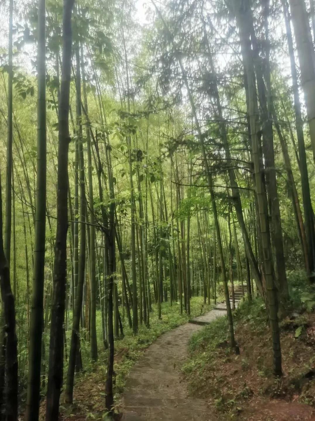 在单位里，从底层杀出来的人大多这样:1，眼光毒2，胆子大3，脸皮厚4，心