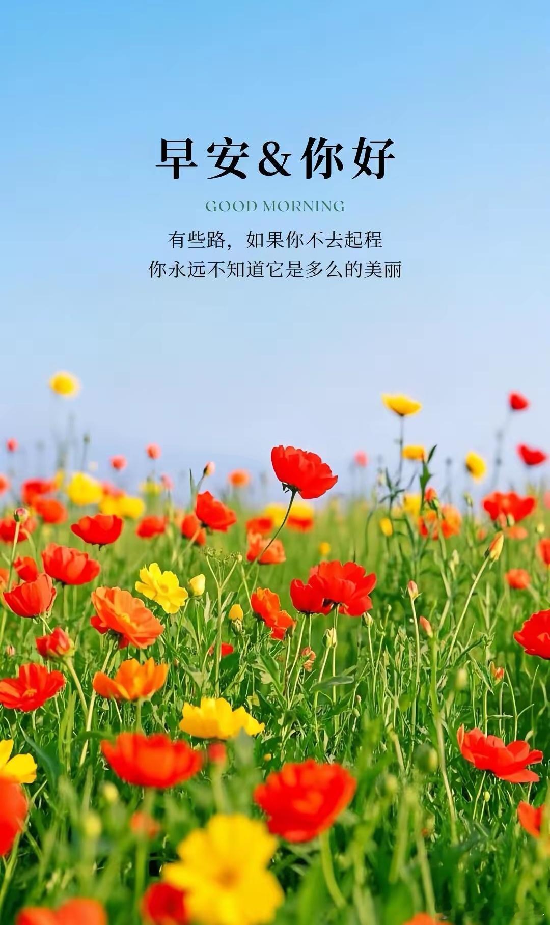 早上好！今天继续吃肉[666][玫瑰]​​​