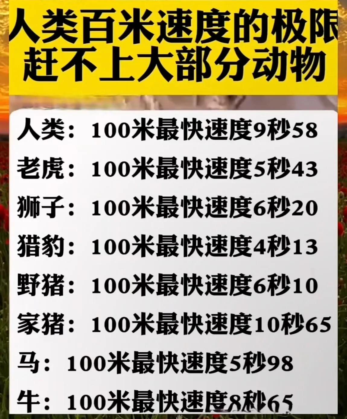 人类的百米速度极限赶不上大部分动物。牛的速度好像没这么快吧？