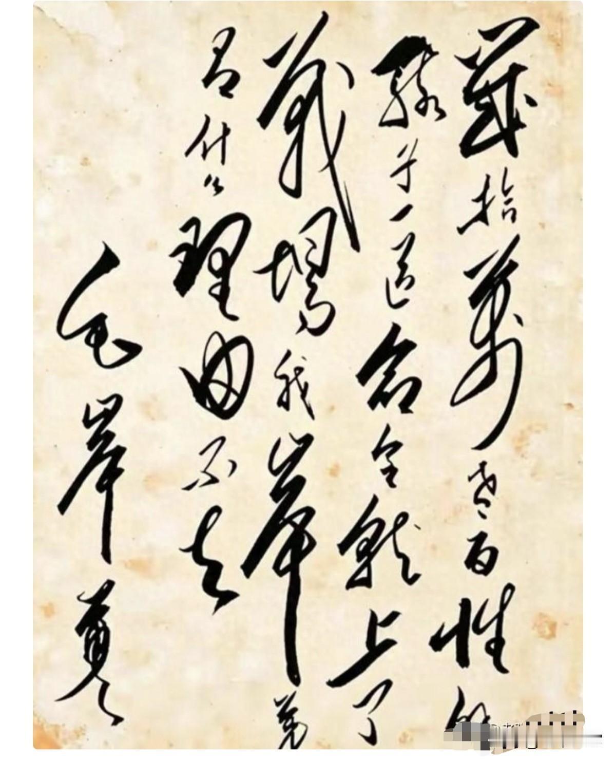 毛岸英的书法难得一见，有几分毛体字的韵味