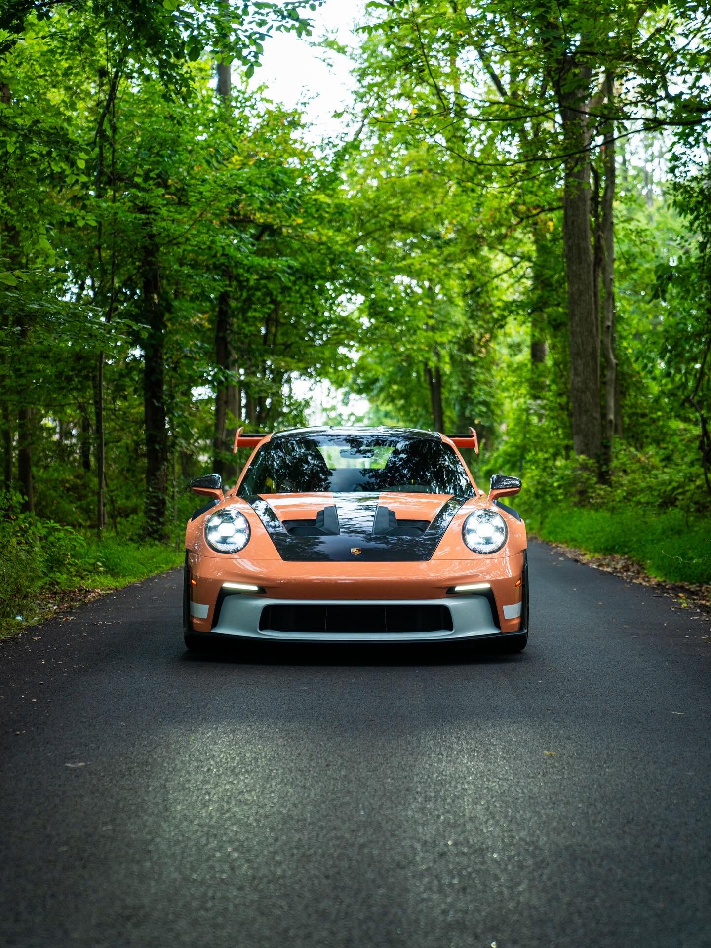992GT3RSCXXPTS油漆：SeanPeach​​​