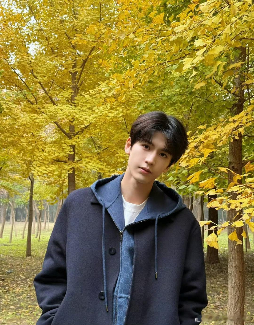 节目里这两位颜值担当太绝！张凌赫身形修长，气质冷峻，帅得让人移不开眼。丁程鑫笑容