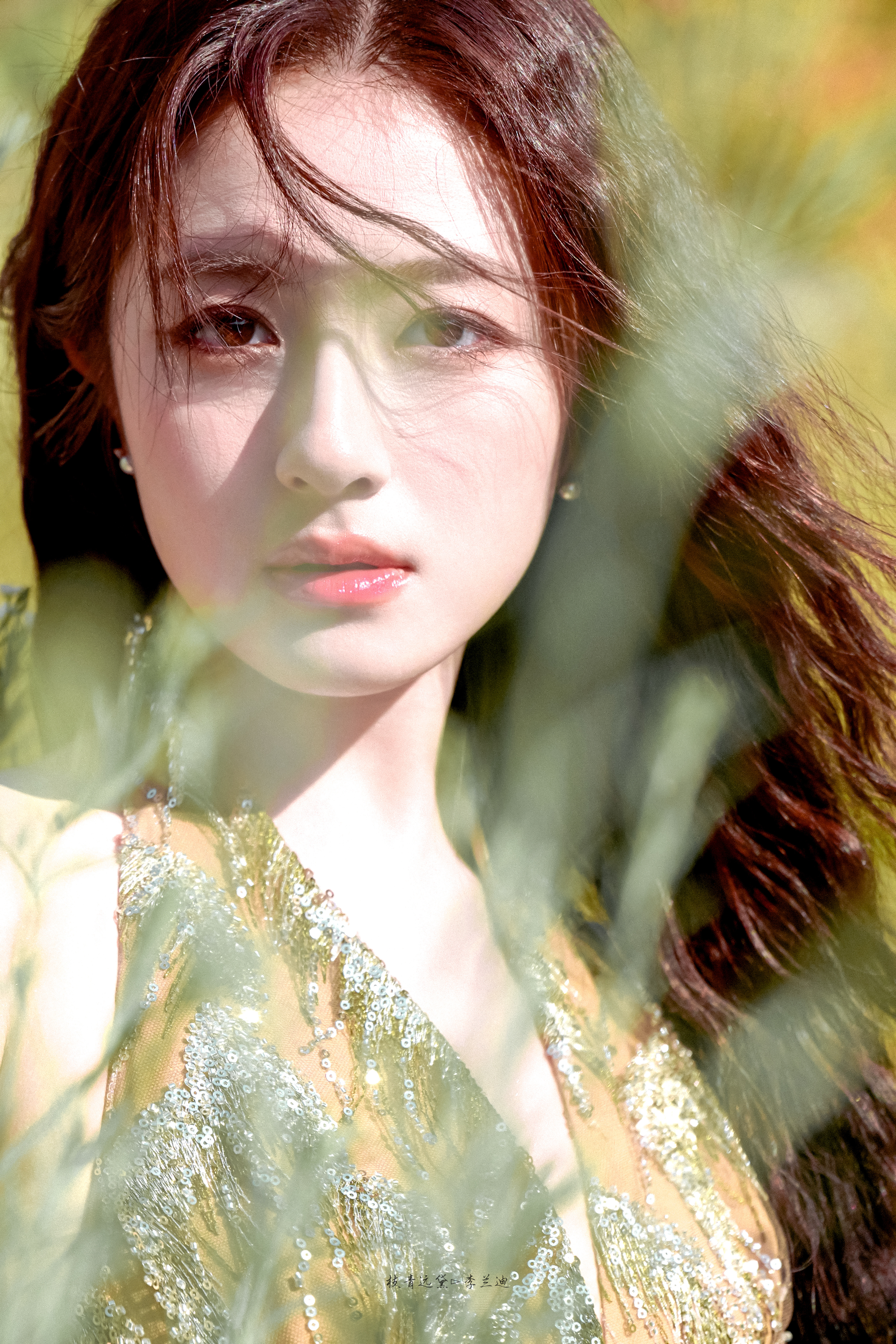 李兰迪💐​​​