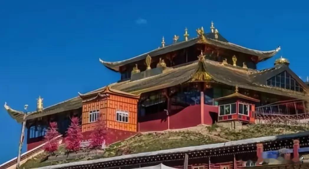 中国最大的尼姑庵——亚青寺，有2万多名女性在此苦修，这里有一个死规定：天黑之后，