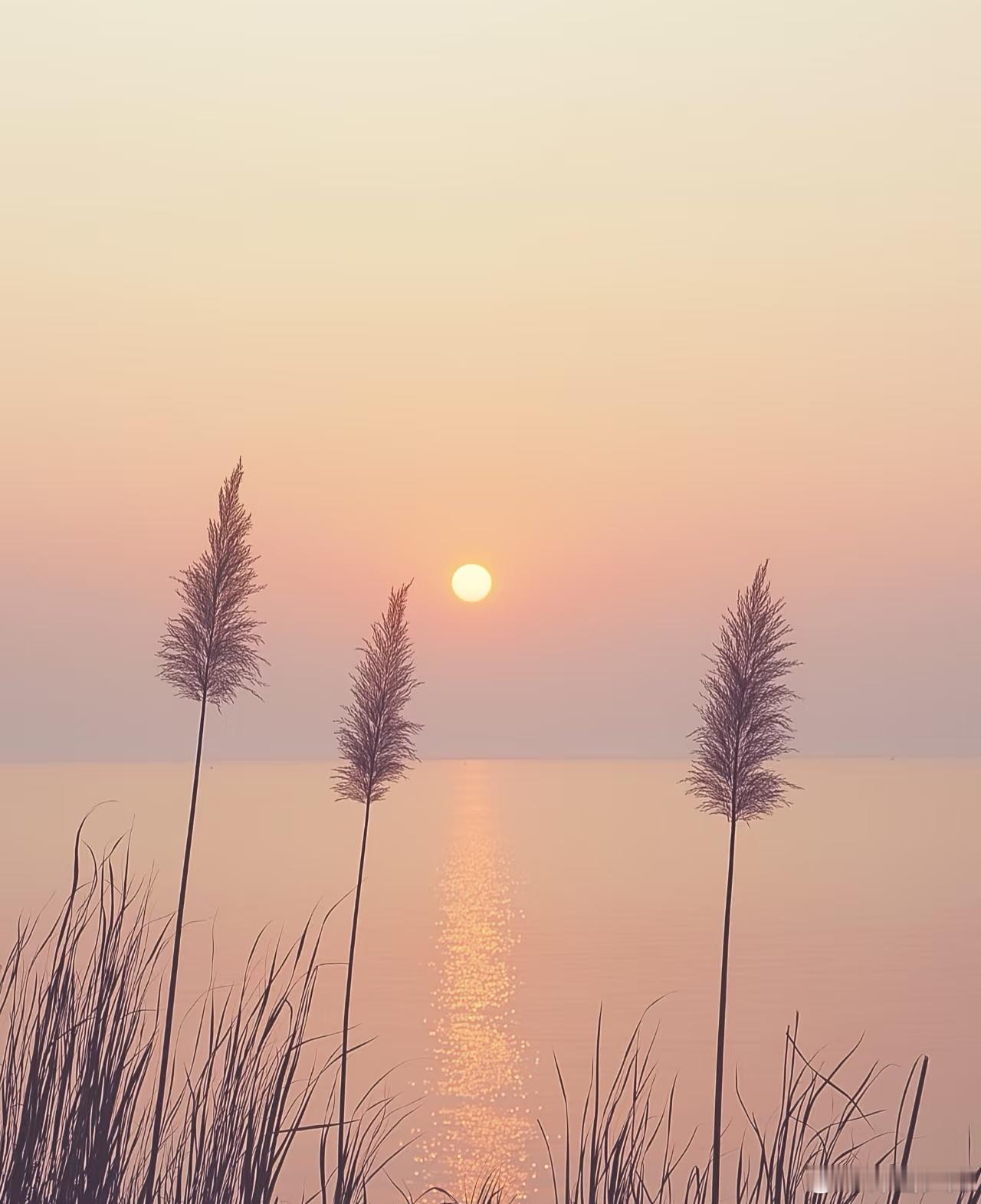 走得太近的关系，往往更容易受伤。以前总觉得跟谁都要掏心掏肺，后来才明白：无论多亲