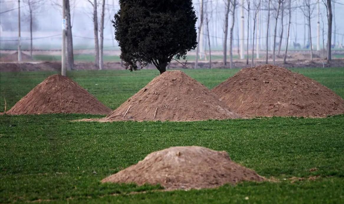浙江永康，男子所在的村子准备开始修路，谁知施工队竟误将男子家的祖坟给挖了。男子一