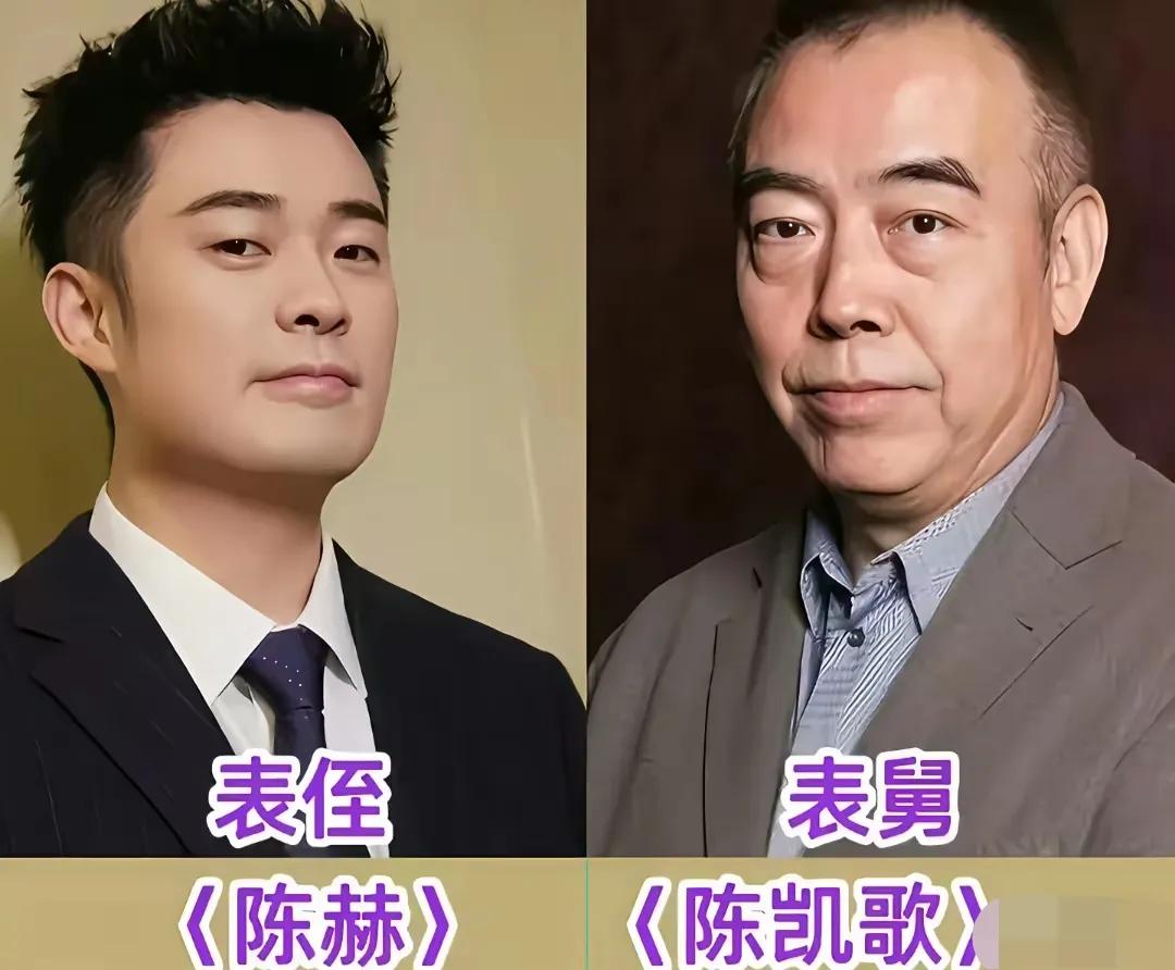 陈凯歌和陈赫之间有亲戚关系。孙俪和胡慧中之间有亲戚关系。陈梦和黄晓明之间有亲