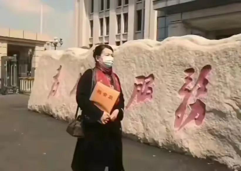 想知道X敏是怎么偷孩子的吗？针对某人屡次三番赢官司，却总是难以摆脱被告身份