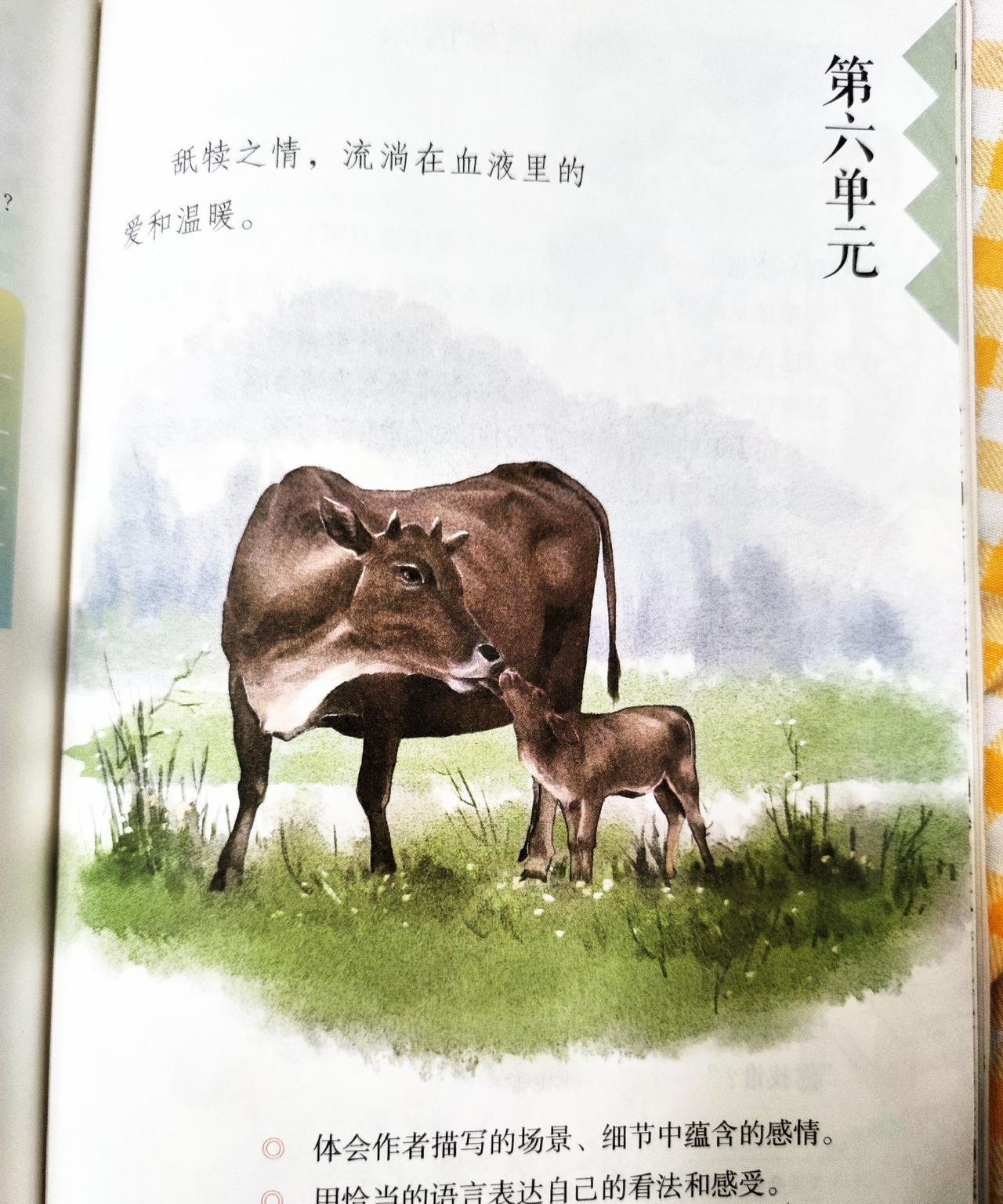 教材有问题！刚开学发下人教版小学五年级语文，我发现了一个小问题！我随手翻到讲“