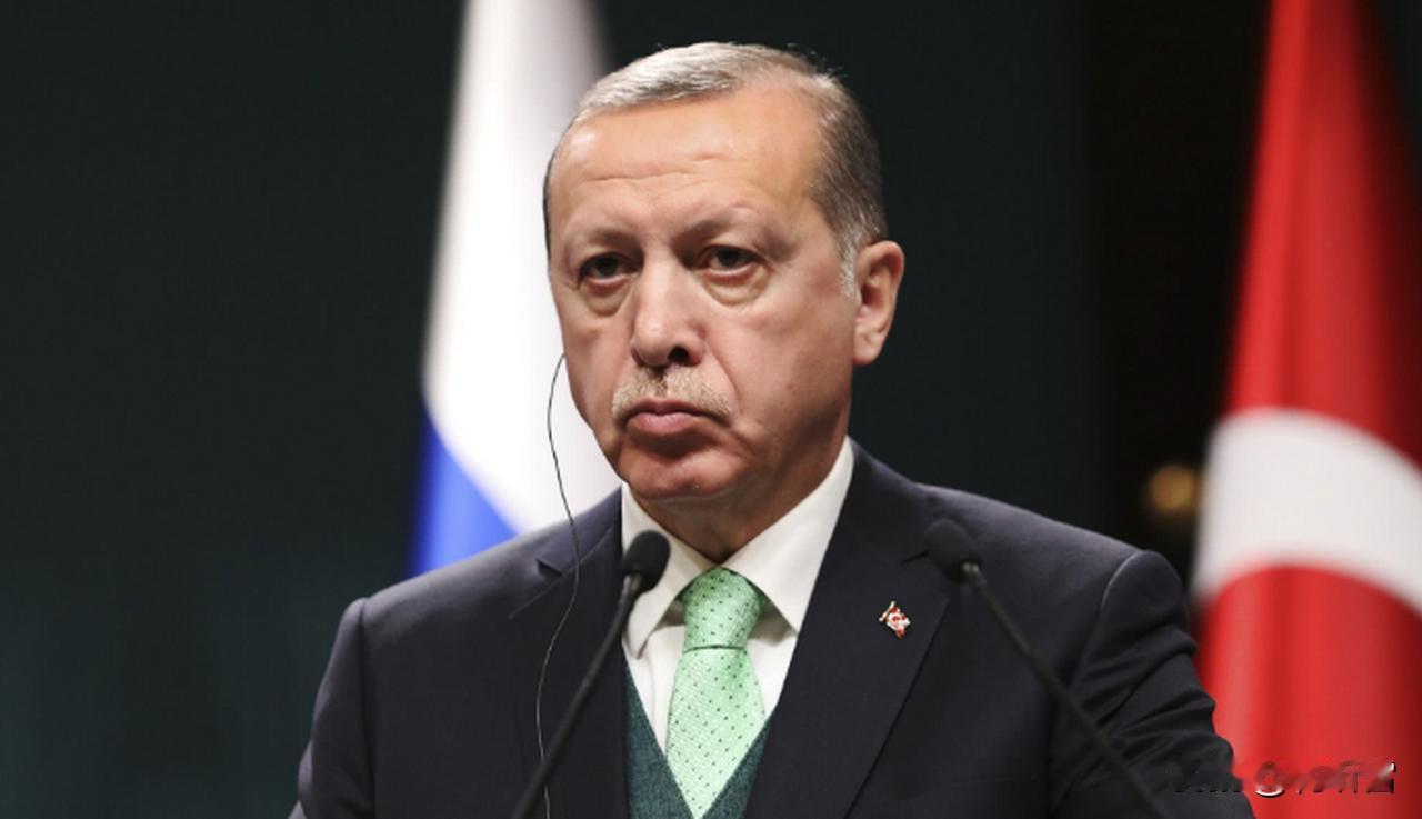 还是埃尔多安聪明，明对着加沙局势的失控，土耳其作为中东的老大，管又管不动，不管又