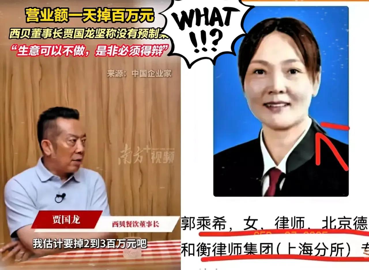 西贝老板贾国龙这回真踢到铁板了！九年老顾客、专攻大案的女律师郭乘希，揣着86