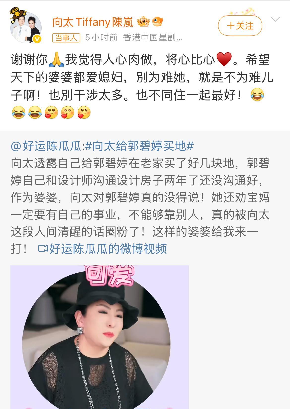 终于知道郭碧婷为什么要嫁给向佐了！不是为了钱，也不是因为他武术好，而是因为