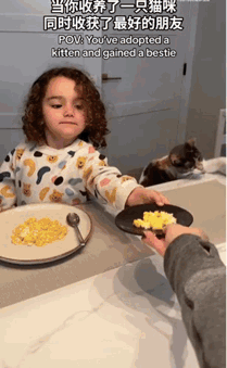 当你收养了一只猫咪，吃饭睡觉都形影不离的那种...