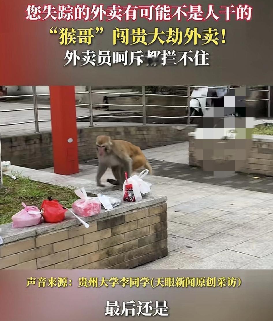 10月18日，贵州大学的一位男生分享视频说，他在校门口看到一位外卖骑手已经把不少