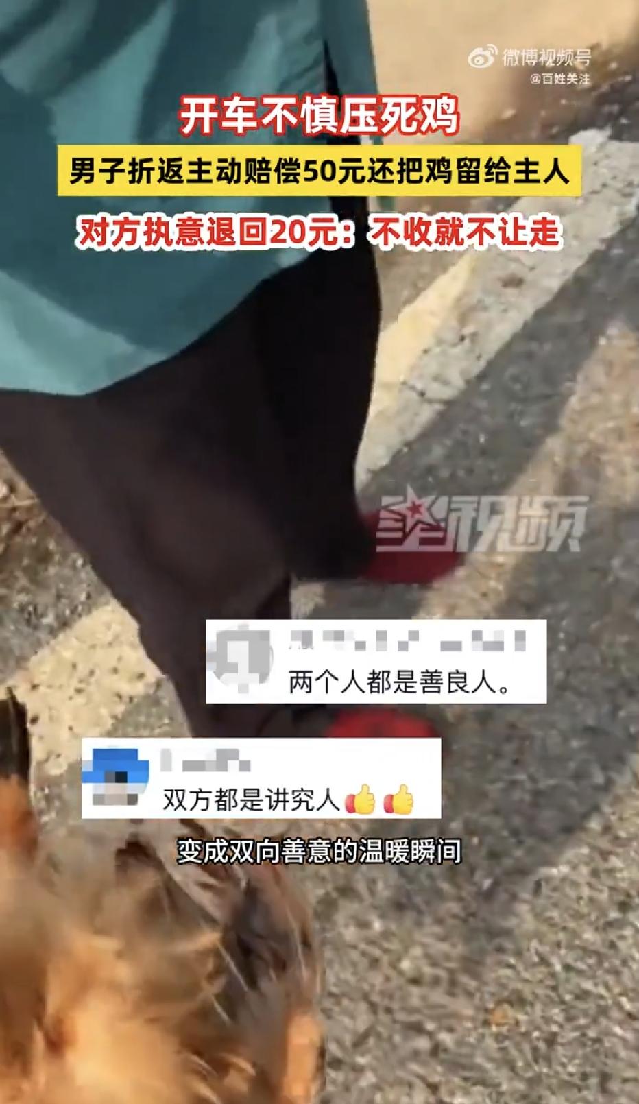 湖北襄阳，一男子开车经过一条乡村公路时，突然窜出来一只鸡，男子来不及刹车，不小心