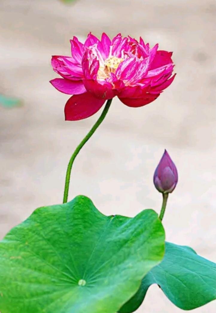 若按照1万元人民币购买力等同于3750美元购买力来计算，2024年中国GDP达1