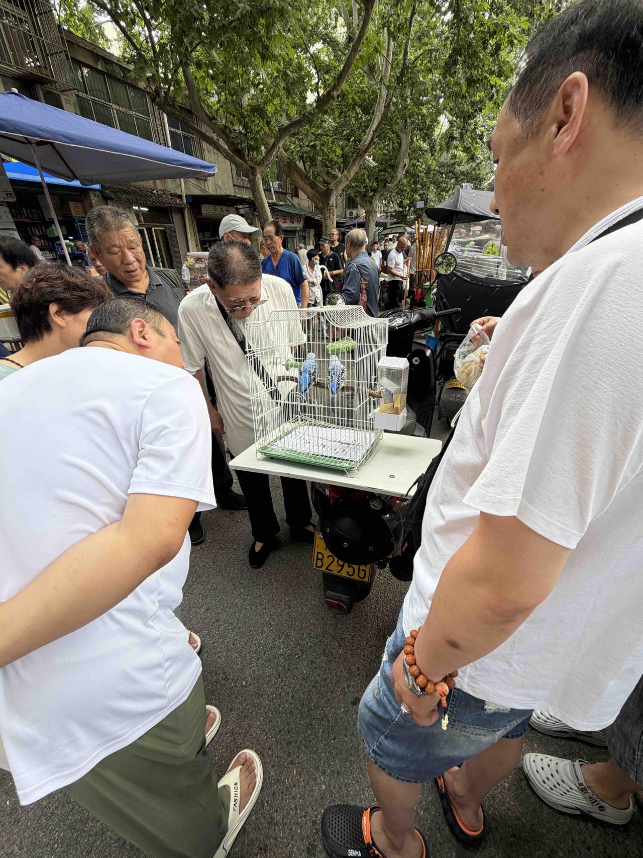 今天上午，我逛西安档子，走到西仓西巷时，看到路中间，围着一堆人，就走了过去！这